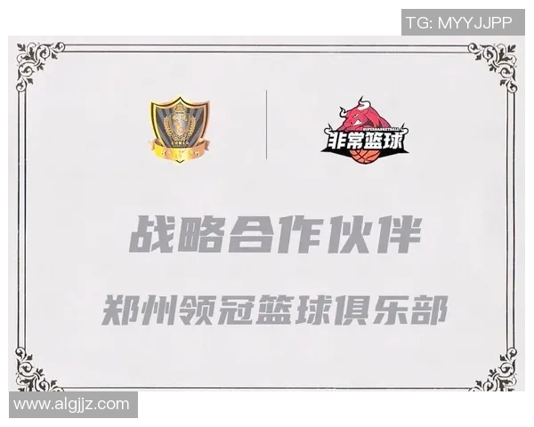 杭州篮球队灵活性变革引发热议助力球队新发展与未来展望