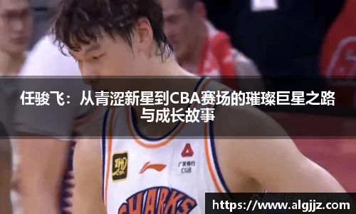 任骏飞：从青涩新星到CBA赛场的璀璨巨星之路与成长故事